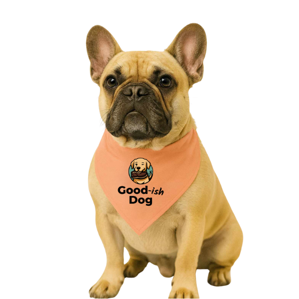 The Good-ish Classic Bandana – Coral