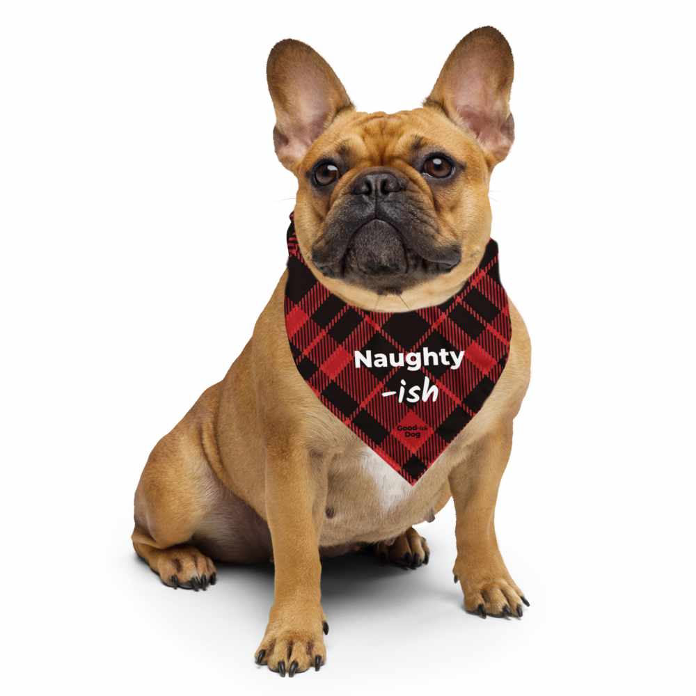 Naughty-ish Classic Bandana - Red Plaid